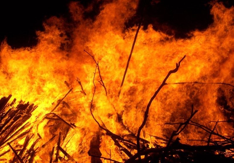 آتش سوزی در 6 هکتار از جنگل‌های ارسباران