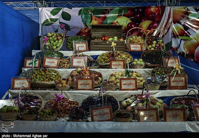 قیمت میوه در بازار مشهدمقدس؛ سه‌شنبه 6 آذرماه +جدول