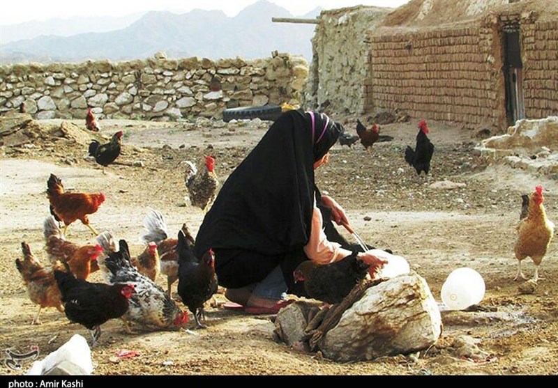 سمنان| روستای طرود شاهرود به روایت تصویر