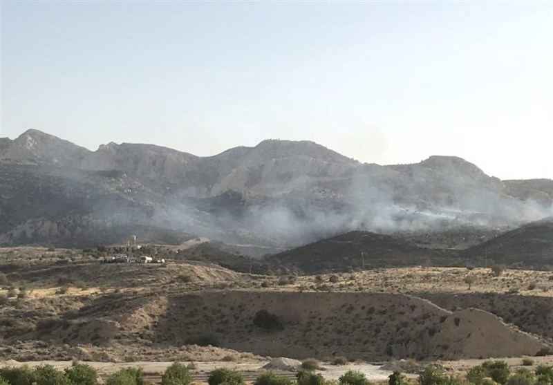 5 هکتار از مراتع ‌کوه بیرمی در منطقه خاییز تنگستان در آتش سوخت