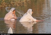 مراسم غسل تعمید صابئین مندایی در اهواز