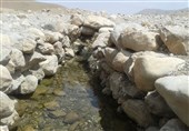 احیای آبشخورهای طبیعی در زیستگاه‌های حیات وحش استان بوشهر در دستور کار است
