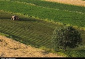 Hanam Village - Lorestan