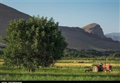 Hanam Village - Lorestan