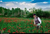 Hanam Village: One of the Beauties of Zagros Mountains in Lorestan Province (+Photos)
