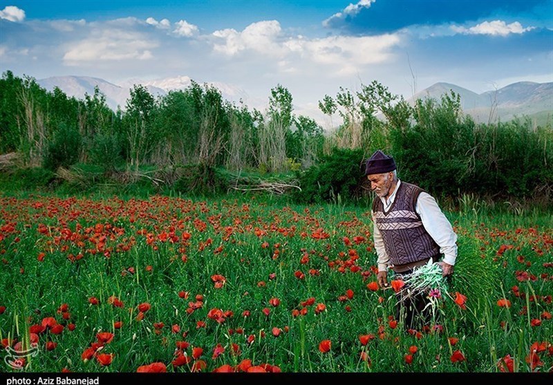 Hanam Village: One of the Beauties of Zagros Mountains in Lorestan Province (+Photos)