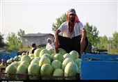 قیمت هندوانه تا 400 تومان کاهش یافت + نرخ انواع میوه