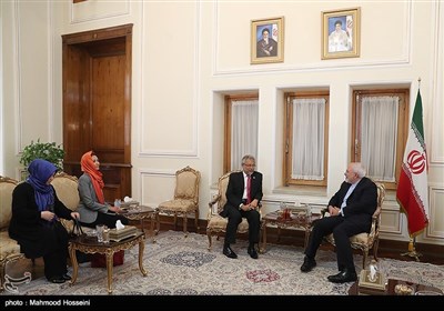 دیدار دبیر کل گروه D8 با محمدجواد ظریف وزیر امور خارجه