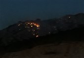 آتش در جنگل‌های غرب گلستان مهار شد / وقوع 30 مورد حریق در عرصه‌های جنگلی استان فقط در 3 روز
