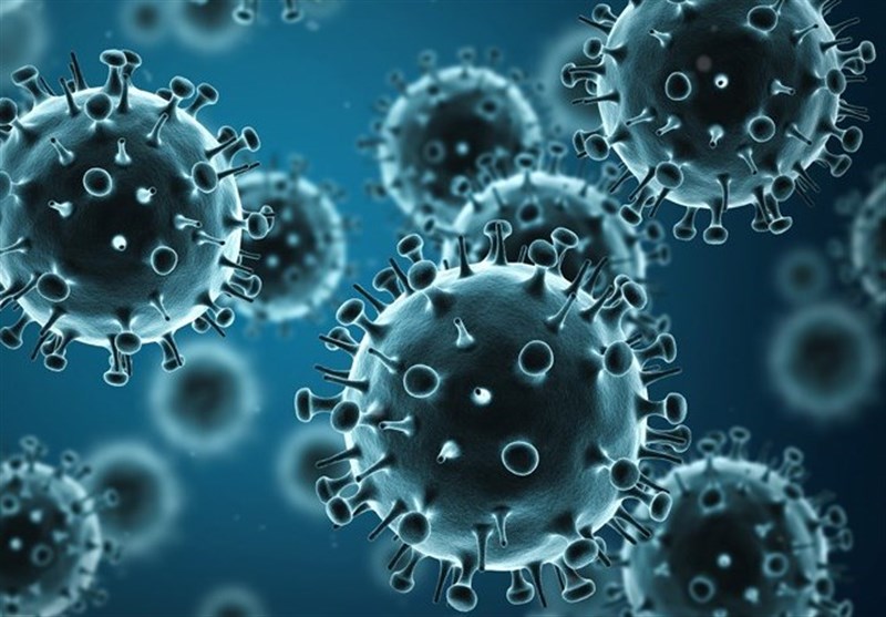 New Way Found to Fight Flu Virus