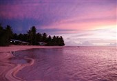 الشاطئ الوردی فی إندونیسیا