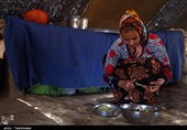 برخی از مطالبات قشر عشایر در حوزه اختیارات امور عشایر استان نیست