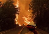 2022 Sees Record Europe Wildfire Destruction: EU