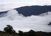 سقوط مرگبار عکاس 40 ساله از ارتفاعات جنگل ابر شاهرود