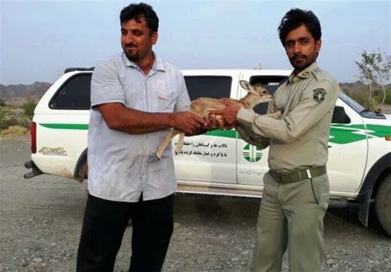 محیط‌بان احمدی نیک در قلعه‌گنج کرمان به شهادت رسید