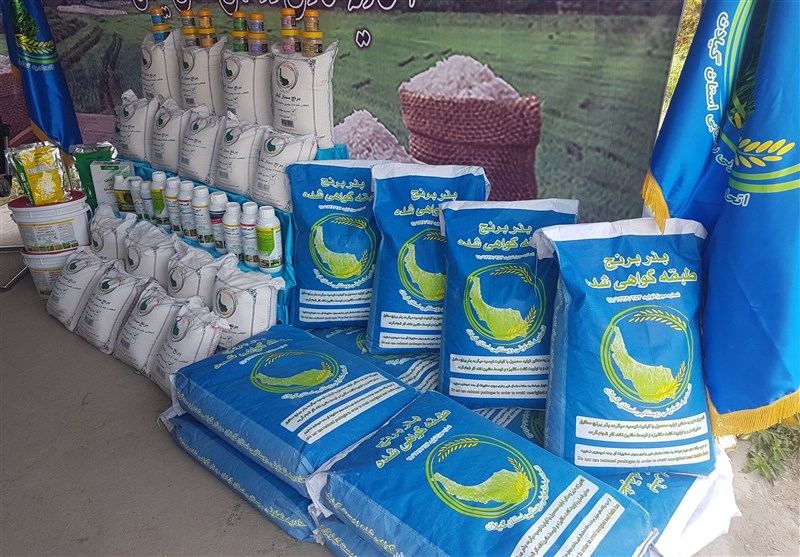 مراکز خرید توافقی برنج در استان مازندران بازگشایی شد