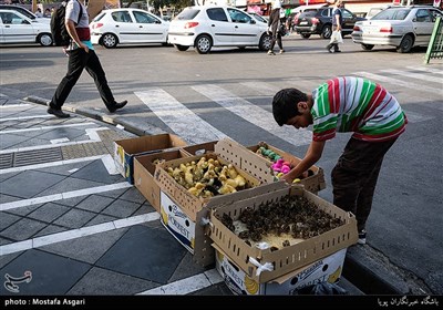 خیابان ستارخان یا تاج سابق یکی از خیابان های مهم شهر تهران است