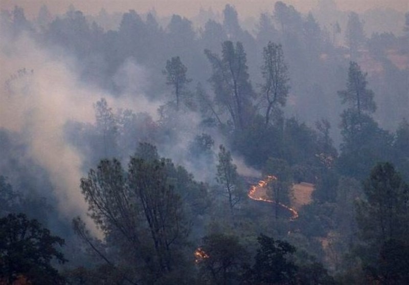 امریکہ اور یونان کے جنگلوں میں آتشزدگی سے 100 سے زائد ہلاک