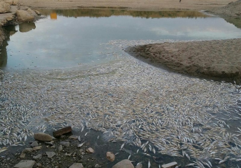 طغیان رودخانه آلشرود آمل به مسئولان آب مازندران هشدار داده شد