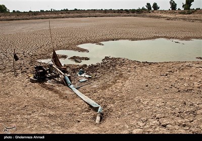 خشکی شالیزارهای مازندران