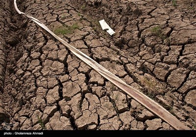 خشکی شالیزارهای مازندران