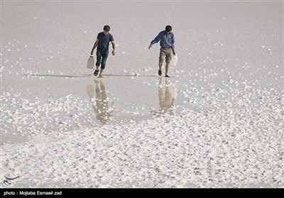 مسافران تابستانی دریاچه ارومیه