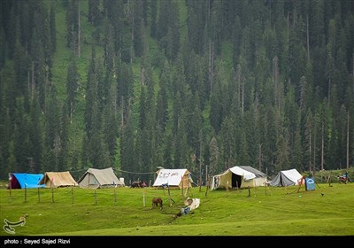 طبیعت کشمیر