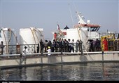 50 مجوز پرورش ماهی در قفس در استان بوشهر صادر شد‌ + تصاویر