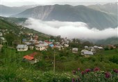 Dalkhani Forests Known as Paradise Hall in North of Iran
