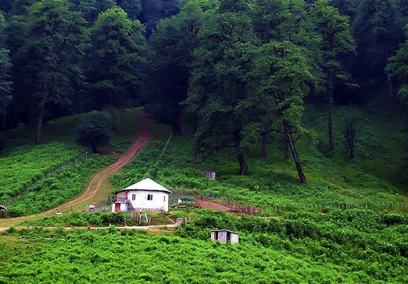 Dalkhani Forests Known as Paradise Hall in North of Iran - Tourism news ...