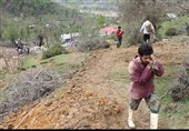تبلور محرومیتزدایی در مناطق دورافتاده مازندران با برپایی اردوهای جهادی