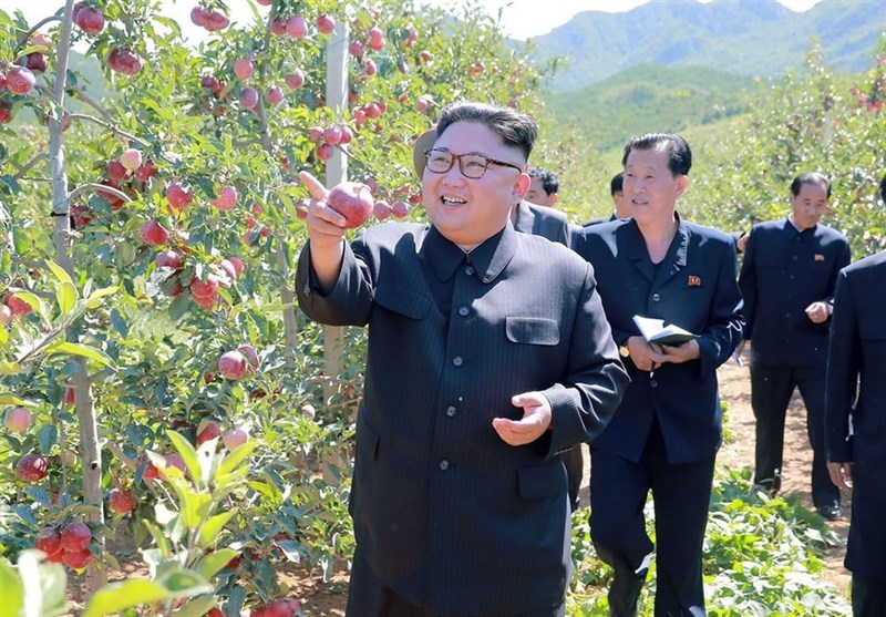 یادداشت|چند نکته درباره شایعات اخیر در مورد رهبر کره شمالی