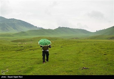 کشمیر کی حسین وادی سے چند تصاویر