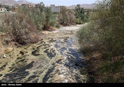 30میلیون متر مکعب از آب زاینده رود به منظور حفظ باغات استان اصفهان رها سازی شد .آب زاینده روز به مدت ده روز باز است و تا سد نکوآباد پیشروی میکند اما به شهر اصفهان نمیرسد .