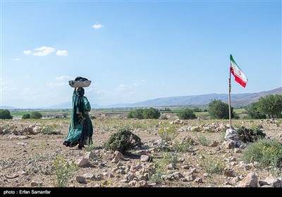 یک روز زندگی در کنار عشایر قشقایی- فارس