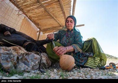 یک روز زندگی در کنار عشایر قشقایی- فارس