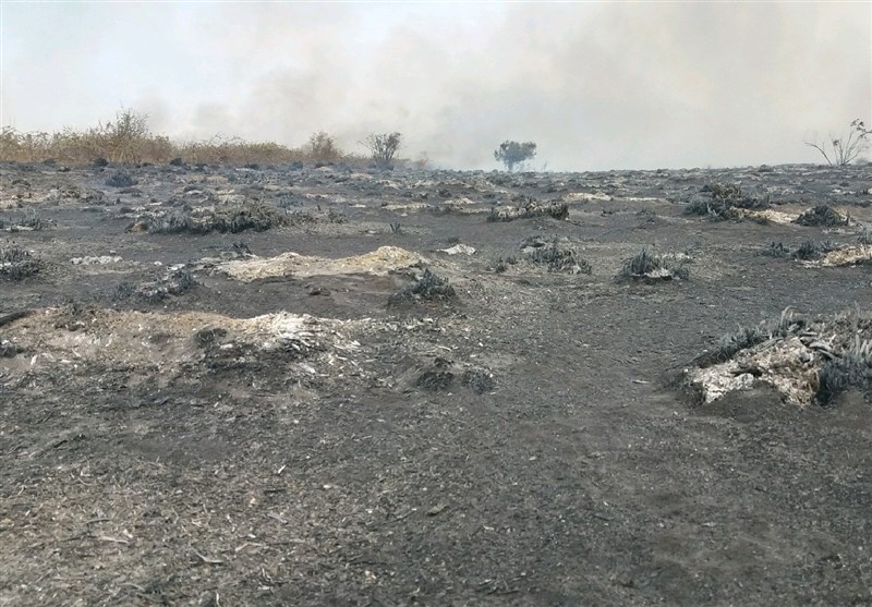 مهار آتش‌سوزی در تنها جزیره ایرانی دریای خزر؛ 330 هکتار از منطقه آشوراده در آتش سوخت