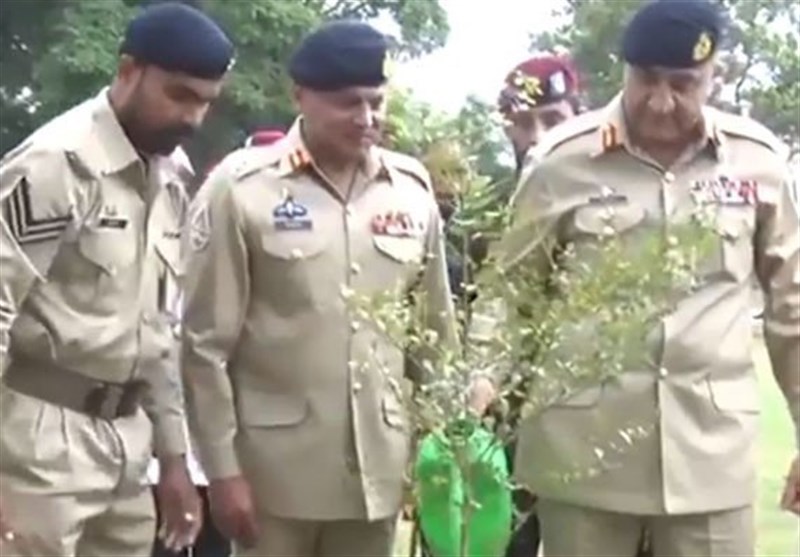 کاشت 10 میلیون شاخه نهال توسط ارتش پاکستان همزمان با جشن استقلال این کشور