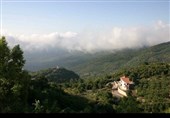 "کسب" السوریة.. رحلة بین الغابات