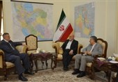 Iran to Spare No Effort to Help Boost Stability in Iraq: Envoy