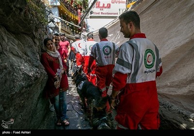 ہلال احمر کے کتے شہر کی سڑکوں پر حادثات میں زندہ بچنے والے لوگوں کو ڈھونڈنے کی مشقیں کر رہے ہیں۔۔