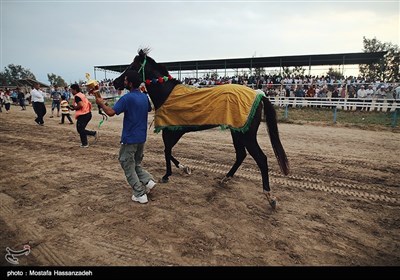 Horse Racing in Iran’s Golestan Province