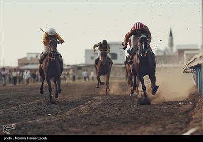 Horse Racing in Iran’s Golestan Province