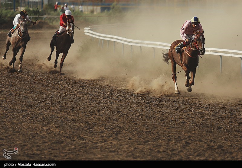 گلستان| هفته پنجم مسابقات اسبدوانی تابستانه کشور در بندرترکمن برگزار شد