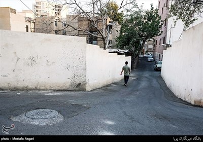 محله باغ فیض تهران 
