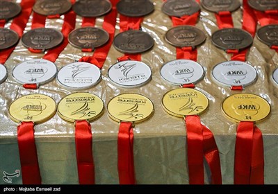 چهاردهمین دوره مسابقات بین المللی جایزه بزرگ کاراته جام وحدت و دوستی