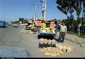 وانت بارهای میوه فروش چهره پایتخت طبیعت ایران را نازیبا کرده است
