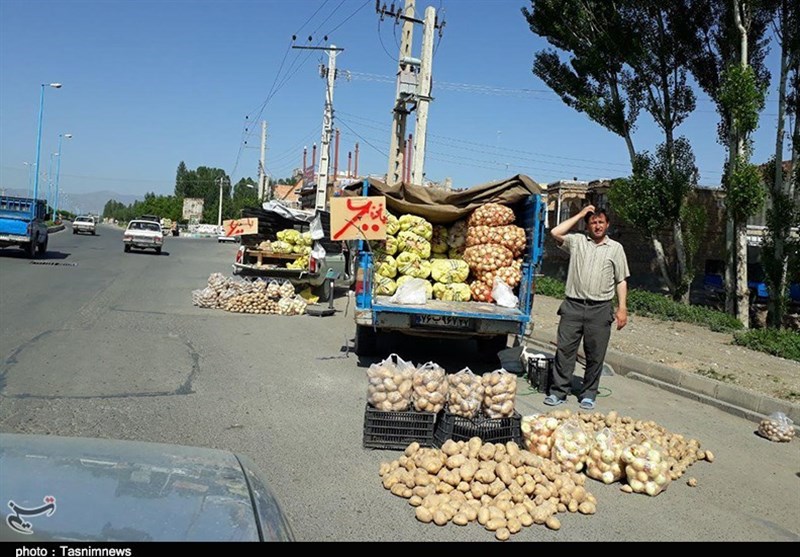 وانت بارهای میوه فروش چهره پایتخت طبیعت ایران را نازیبا کرده است