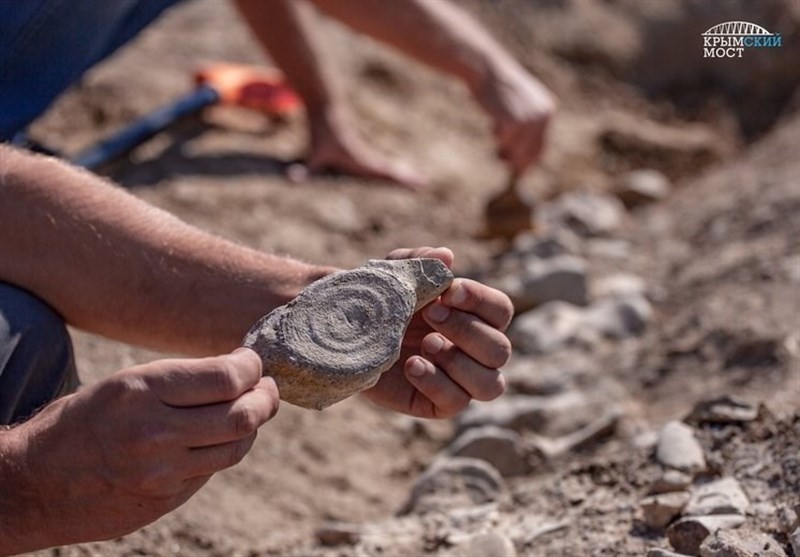 Skeletons of a Unique 10-Million-Year-Old Whale