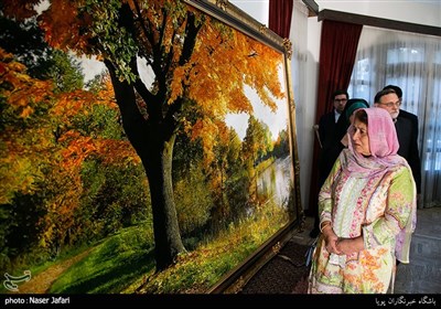 رفعت مسعود سفیر پاکستان در رویداد هنری طهران 